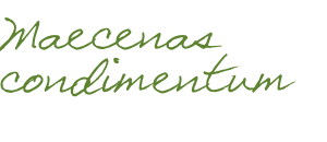 Maecenas condimentum 
